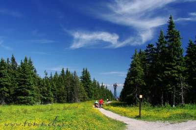Klikněte pro zobrazení původního (velkého) obrázku