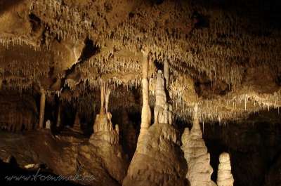 Klikněte pro zobrazení původního (velkého) obrázku